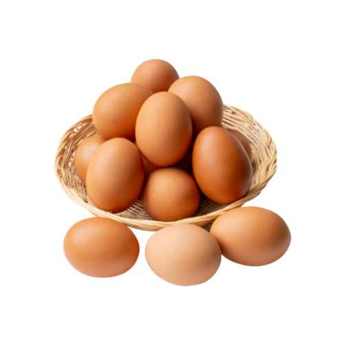Eggs & Hatchlings