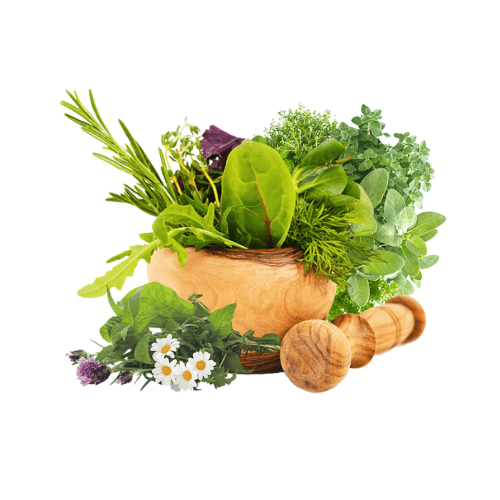 Medicinal Plants