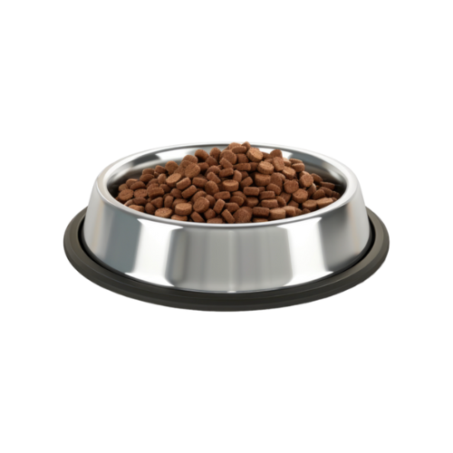 Pet Food & Accessories