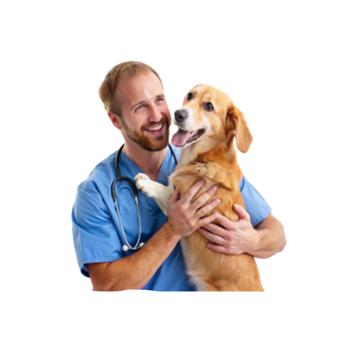 Veterinary Clinics