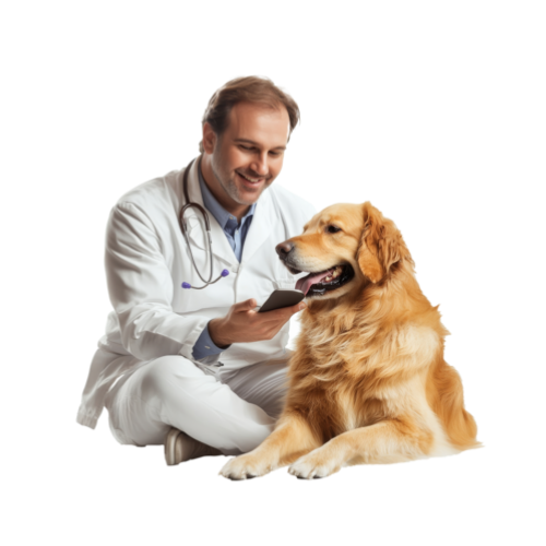 Veterinary Services