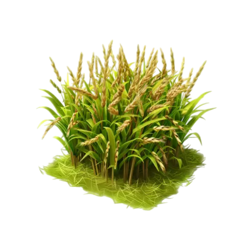 Agriculture & Farming