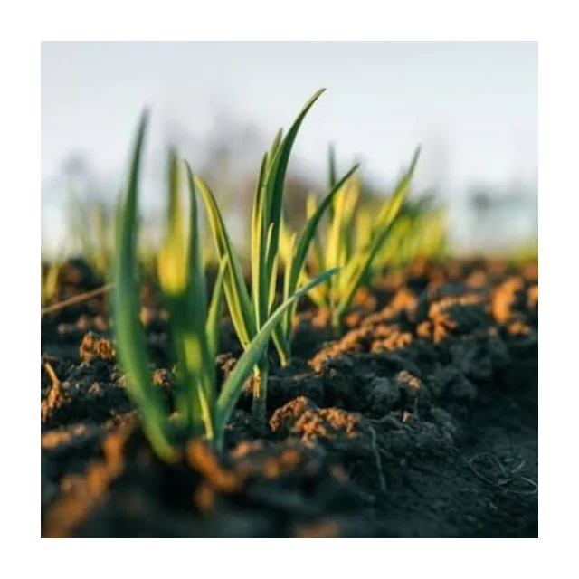 Crop Protection & Inputs