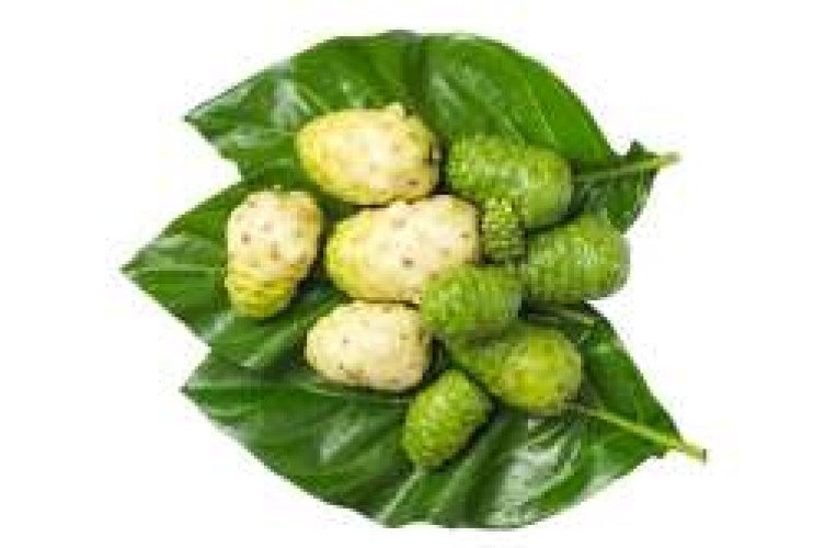 Noni furits for sale