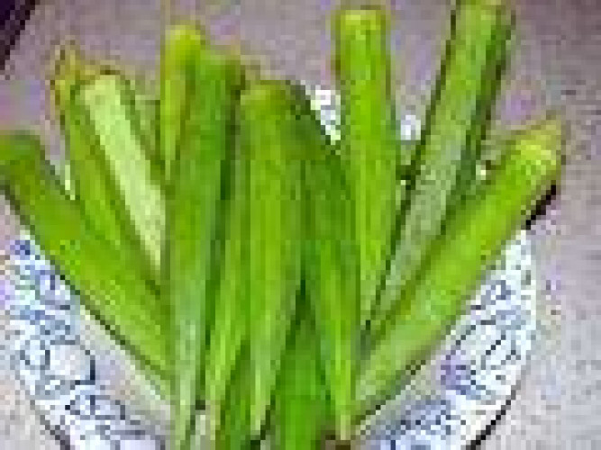 Vendakka