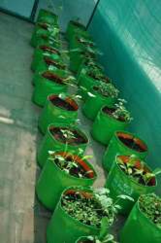 HD UV grow bags