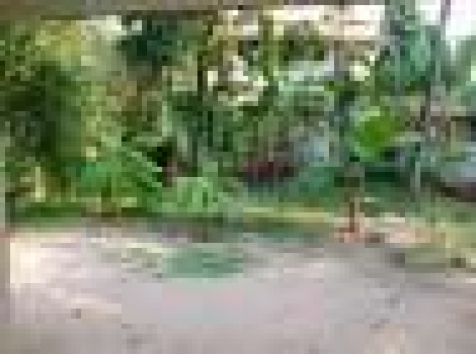 2.5 cents land