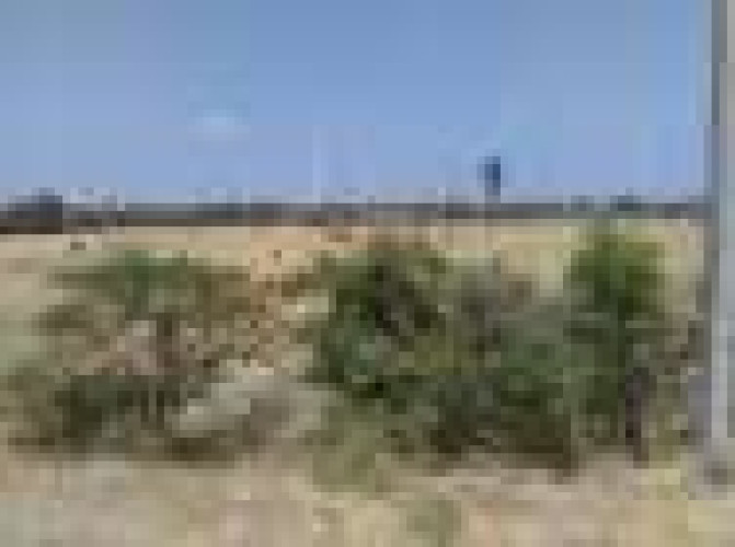 Plain land