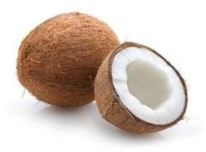 coconut for sale