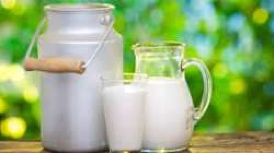 Milk for Sale