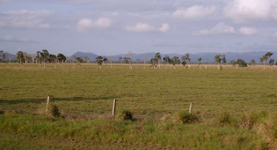 2 Lease Lands For Agriculture