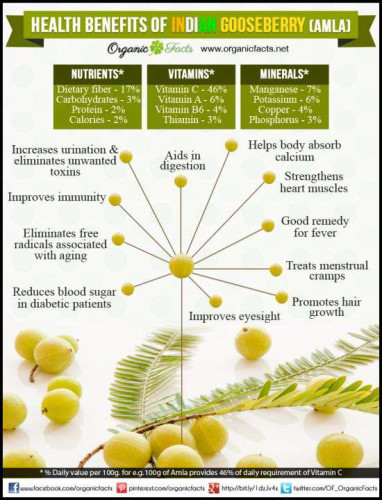 Organic Amla for sale