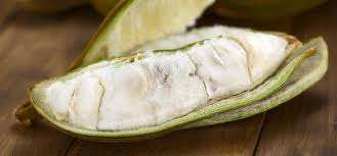 INGA EUDILIS- ICRE CREAM BEAN FRUIT