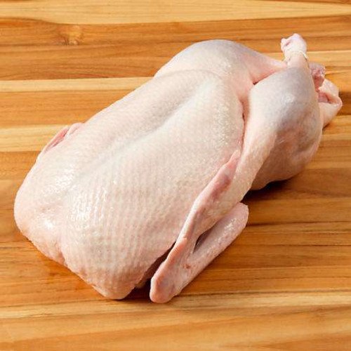 Broiler duck for sale at Chalakudy, Thrissur |Duck