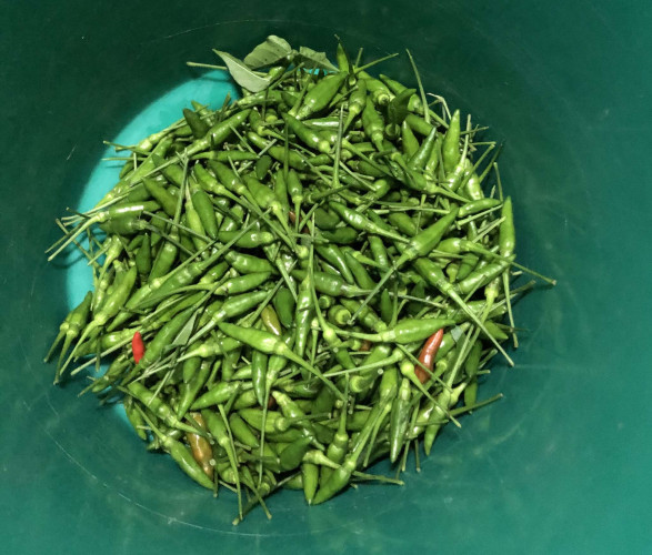 Fresh naadan kanthari mulaku ( Birds eye chilli)