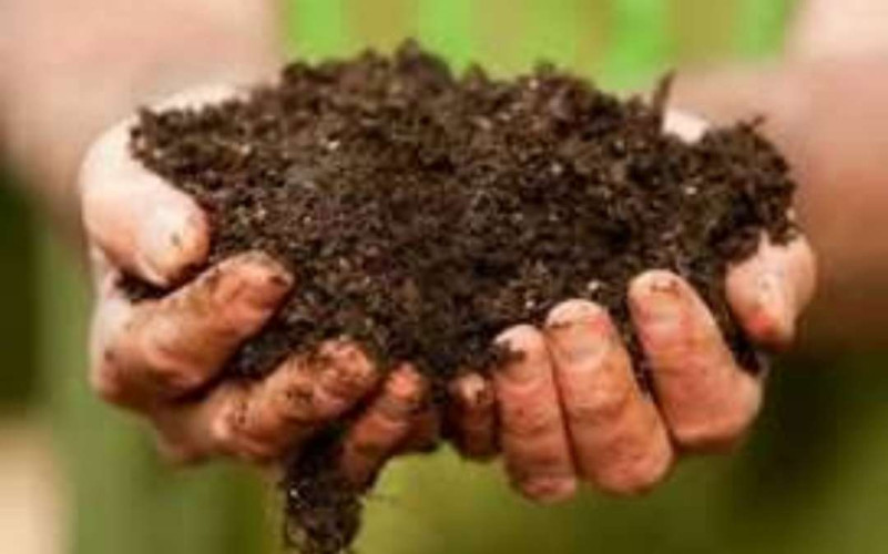 Kozhi valam/ Poultry Manure