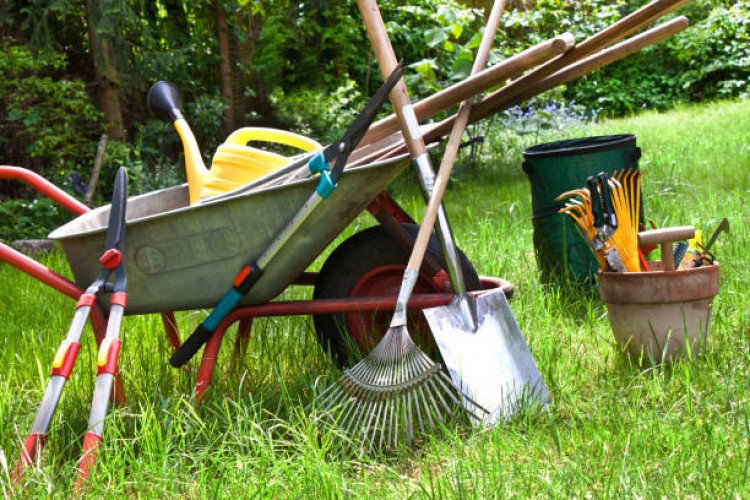 Garden Tools for sale in Iritty, Kannur