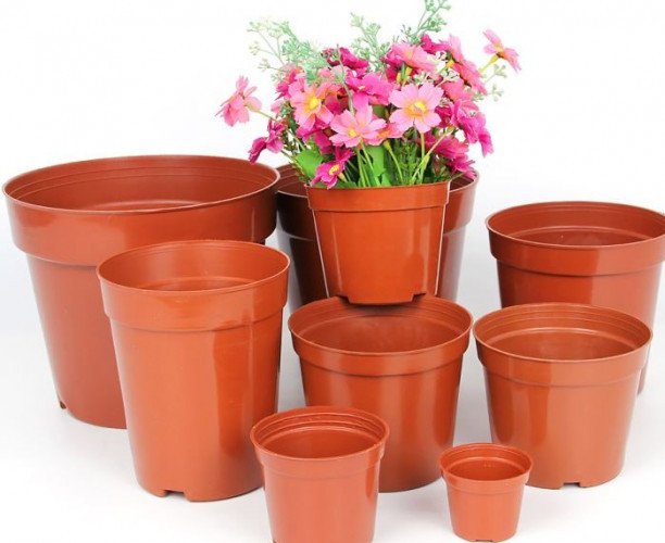 Best ceramic, Plastic, Clay Pots in Chalode, Kannur