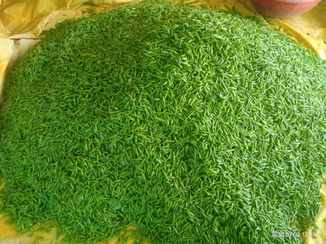 KANTHARI MULAKU