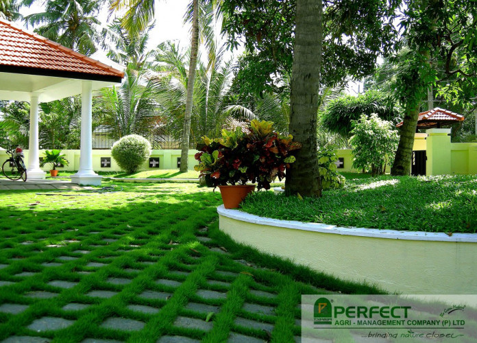Best Landscaping Services in Irikkur, Kannur