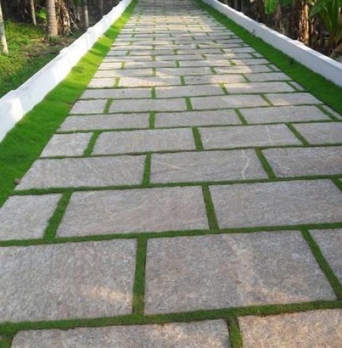 Landscaping Services in Caltex, Kannur