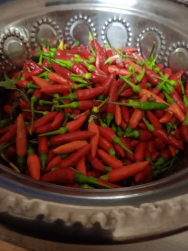 Kaanthari