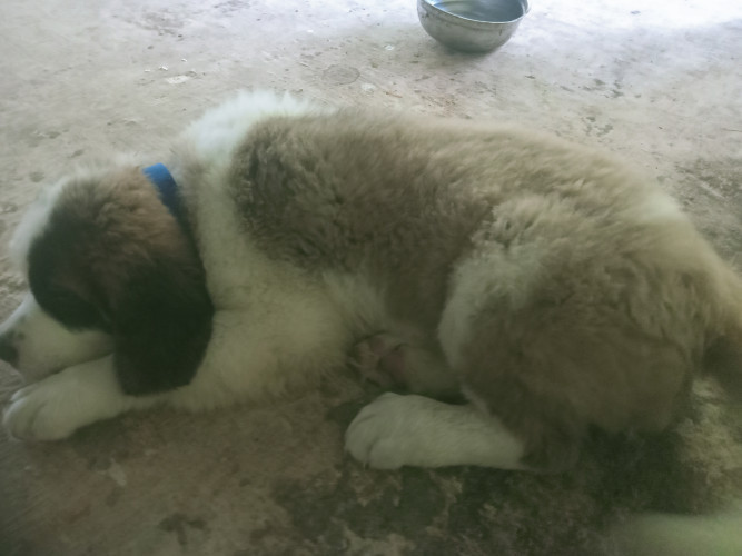 For sale