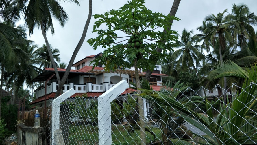 Fencing Wire Dealers in Taliparamba, Kannur