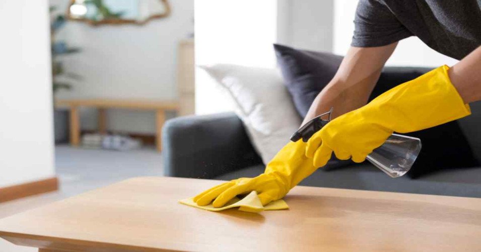 House Keeping Services in Chandigarh, Haryana