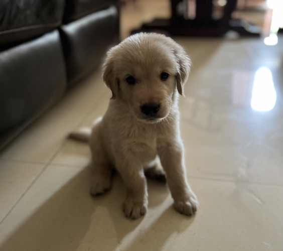 Rio