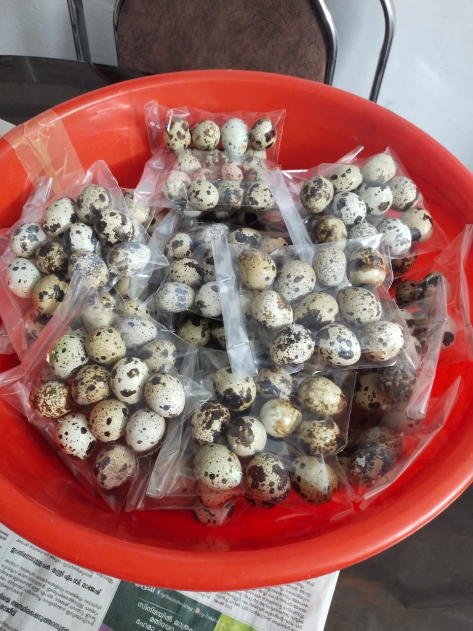 Quail eggs for sale