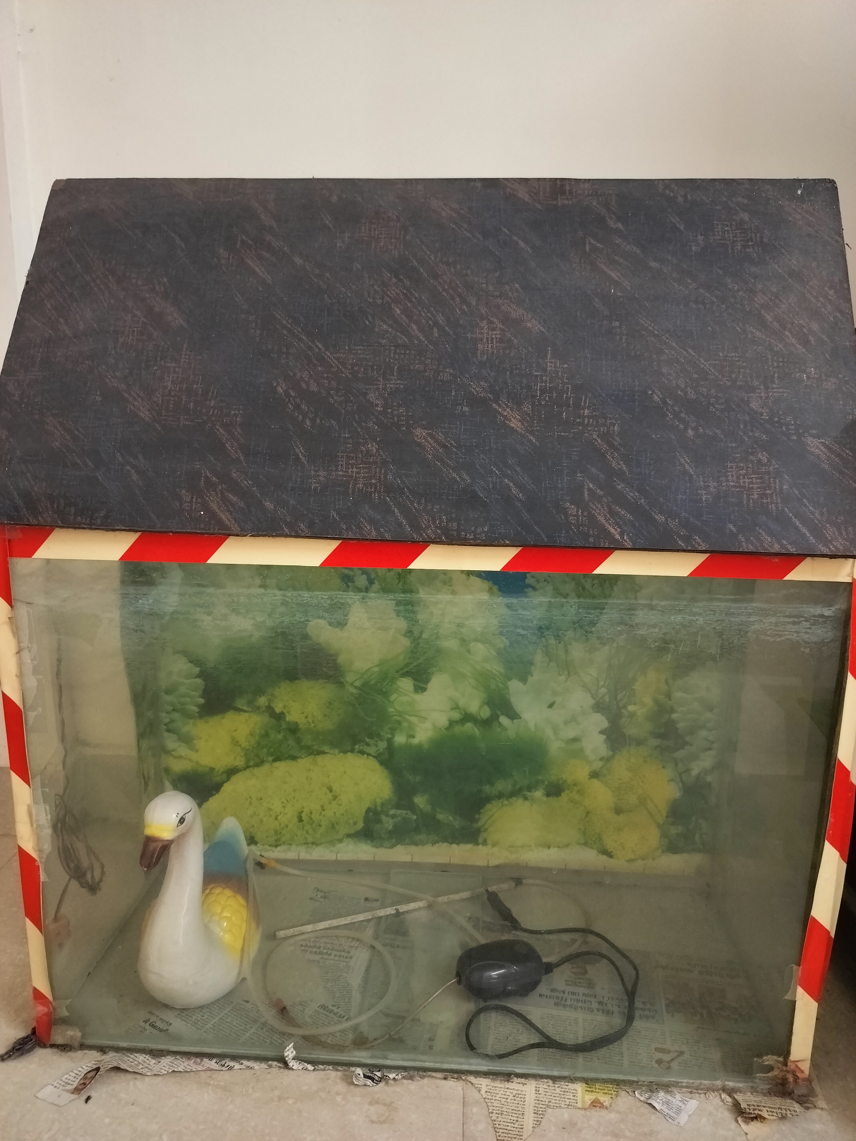 Fish Tank
