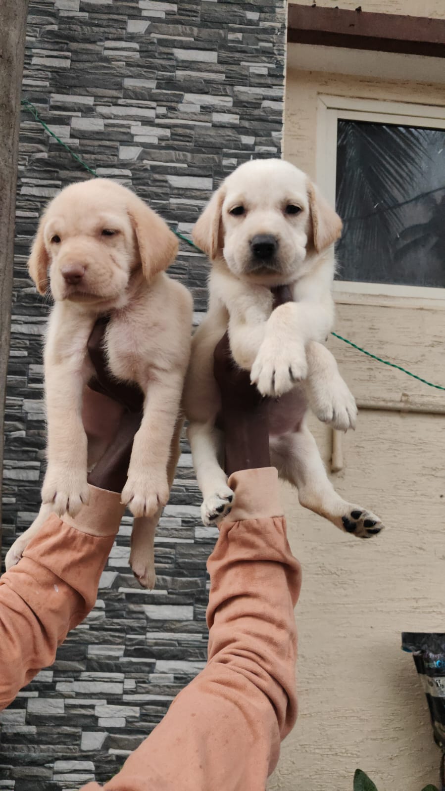 Lab
