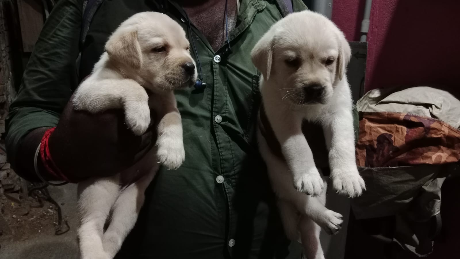 Lab
