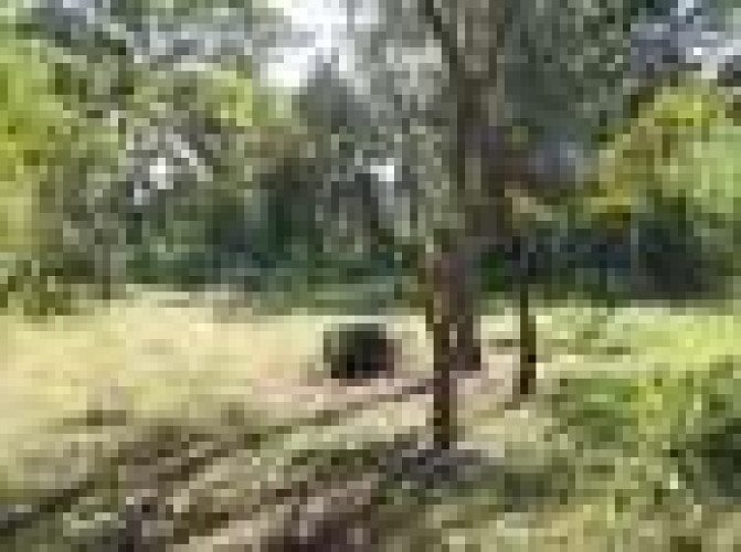 30 cents of roadside land 