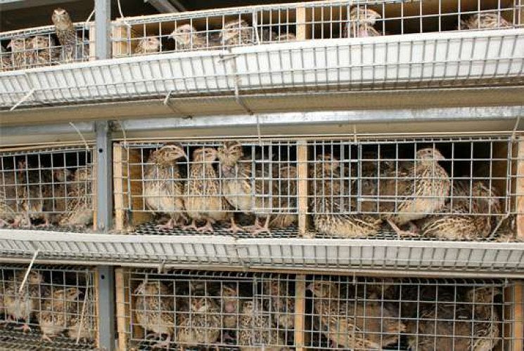 300 Kadayum 600kada Kidakkavunna Koodum