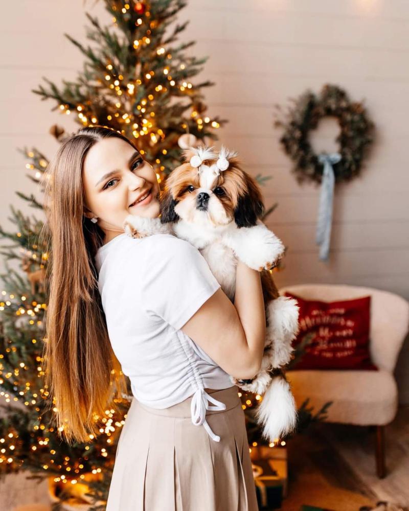 Shih Tzu puppies price