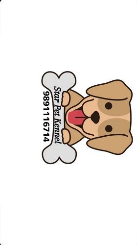 ALL BREED TOP QUALITY PUPPIES AVAILABLE 9891116714