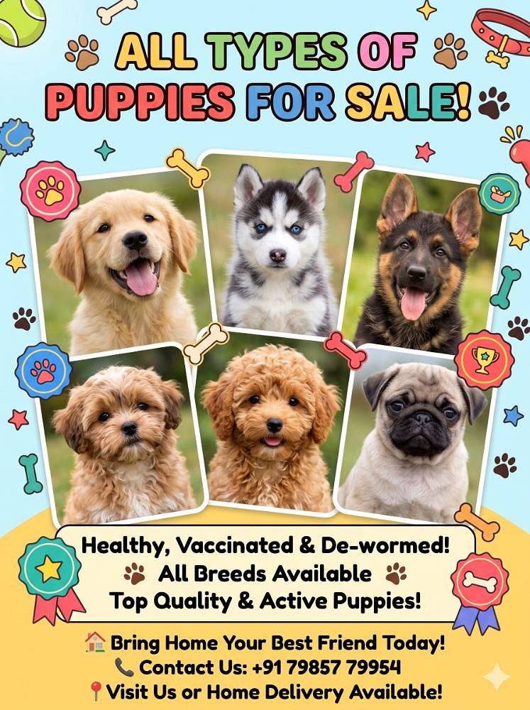 All types puppy