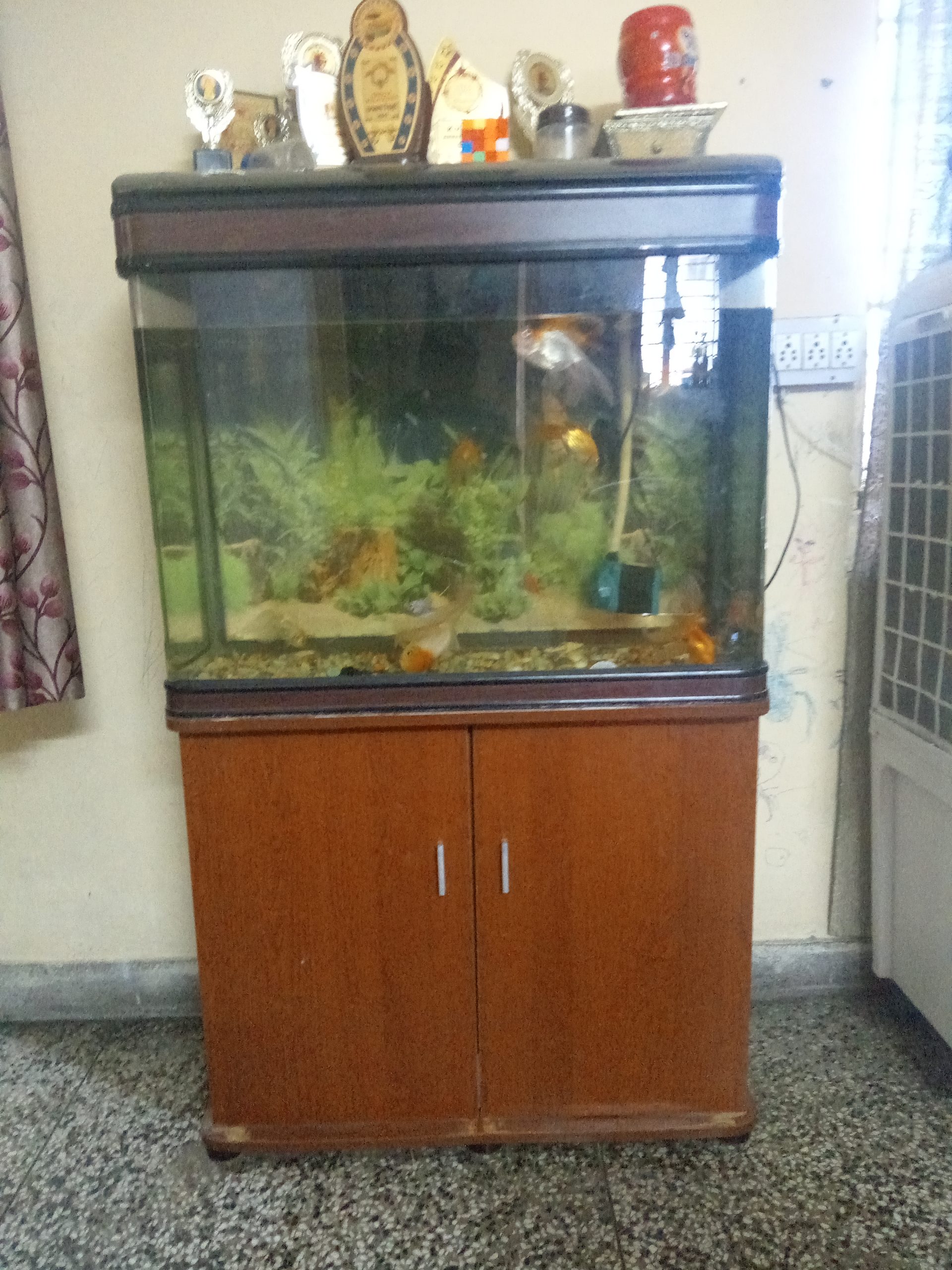 Aquarium