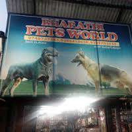Bharathi pets world shop