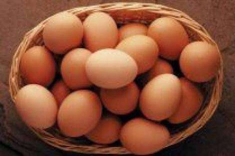 Bv 380 organic eggs for sale without any antibiotics hormone
