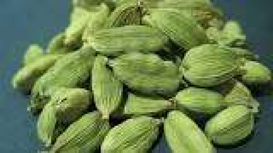 Cardamom