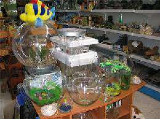 Cherupushpam aquariums