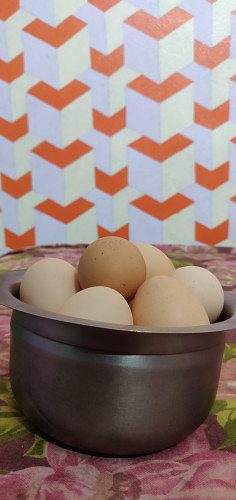 Country chicken eggs available