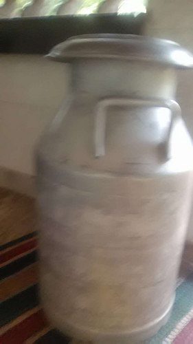 Cow Milk Home delivery available 
