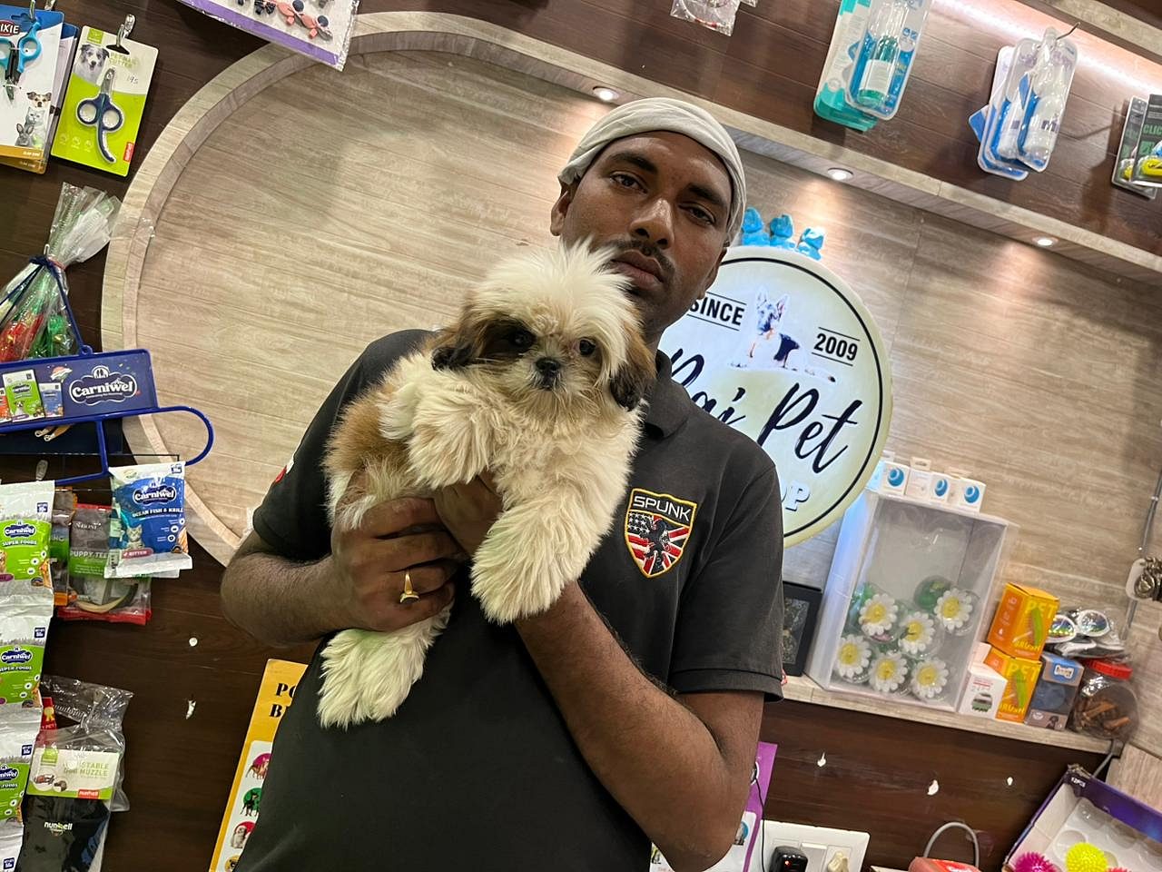 DOG/PUPPIES/PET AT 7352994017 IN PATNA