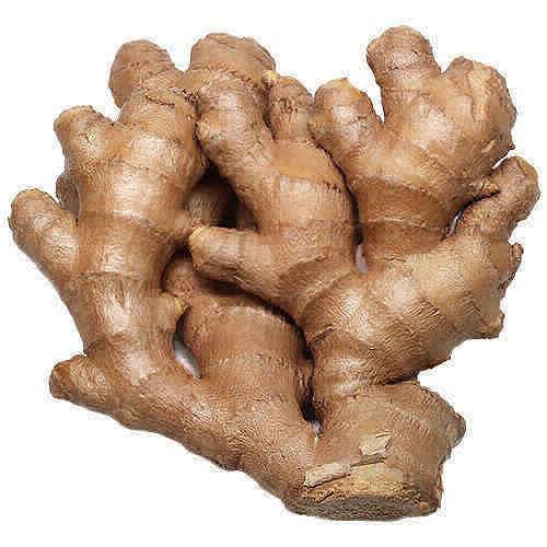 Farm fresh ginger