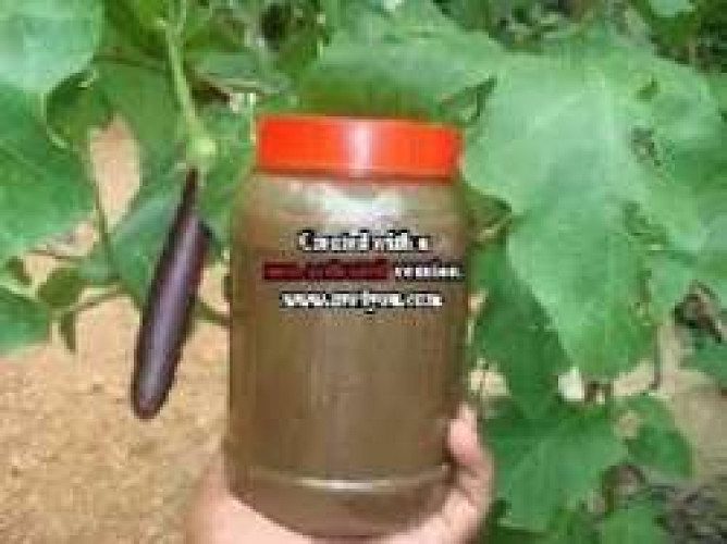 Fish Amino Acid for Sale