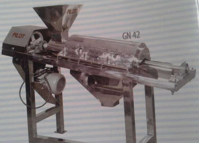 Fruit pulper  machine